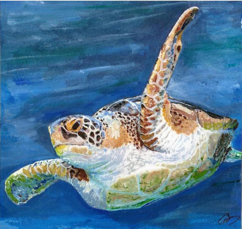Sea Turtle 8" x 10" matted print. Artist signed